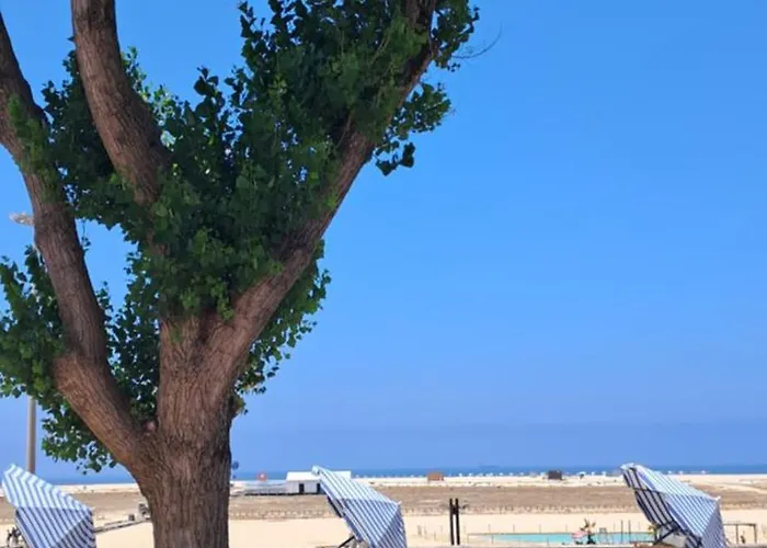 Praceta Madalena Appartement *